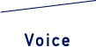 Voice